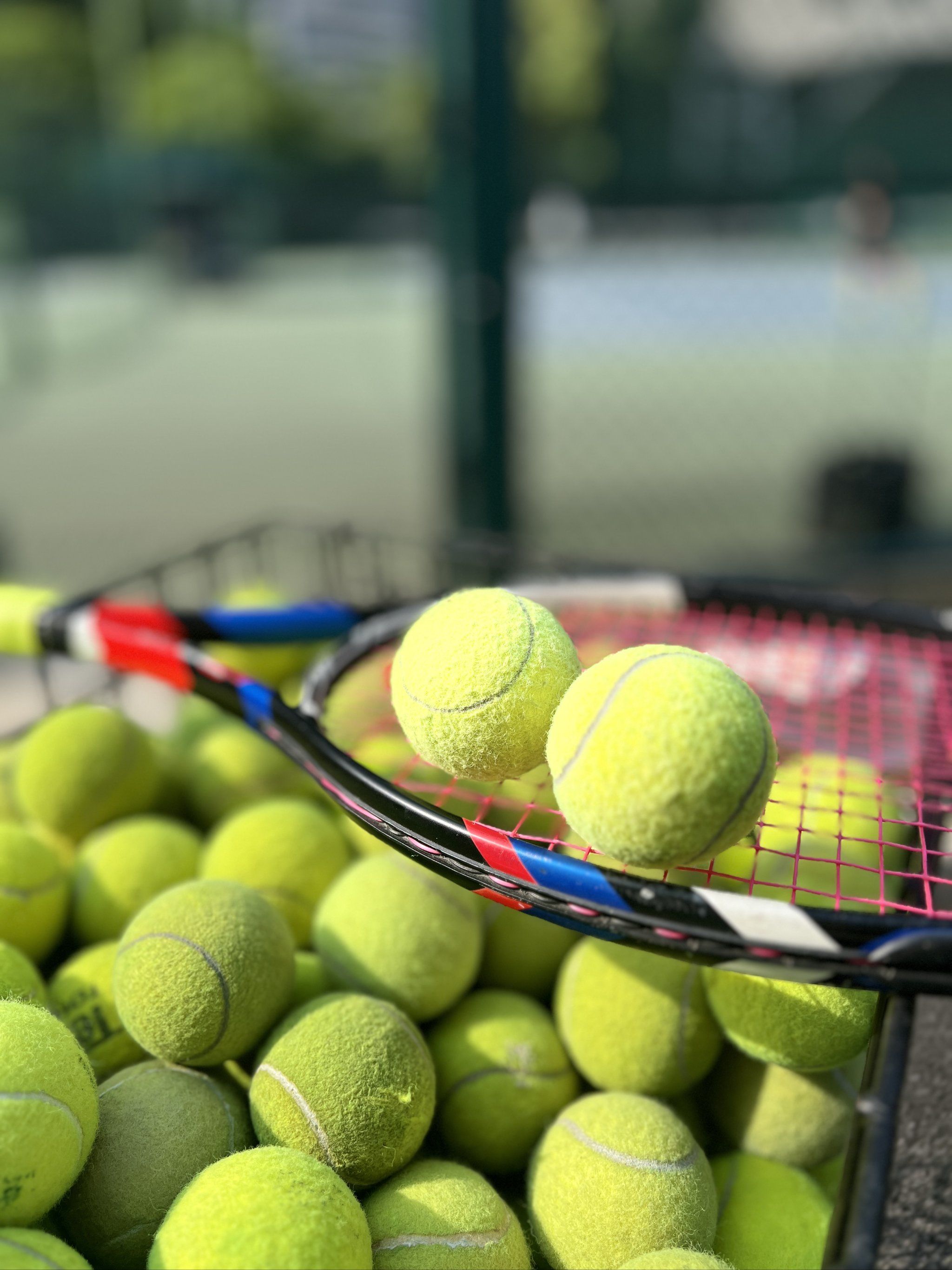 不仅丰富了 不仅丰富了